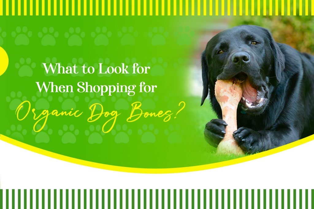 What to Look for When Shopping for Organic Dog Bones?