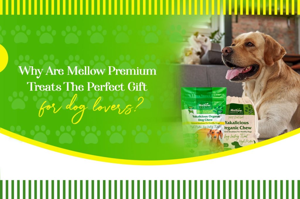 Why Are Mellow Premium Treats The Perfect Gift for Dog Lovers?
