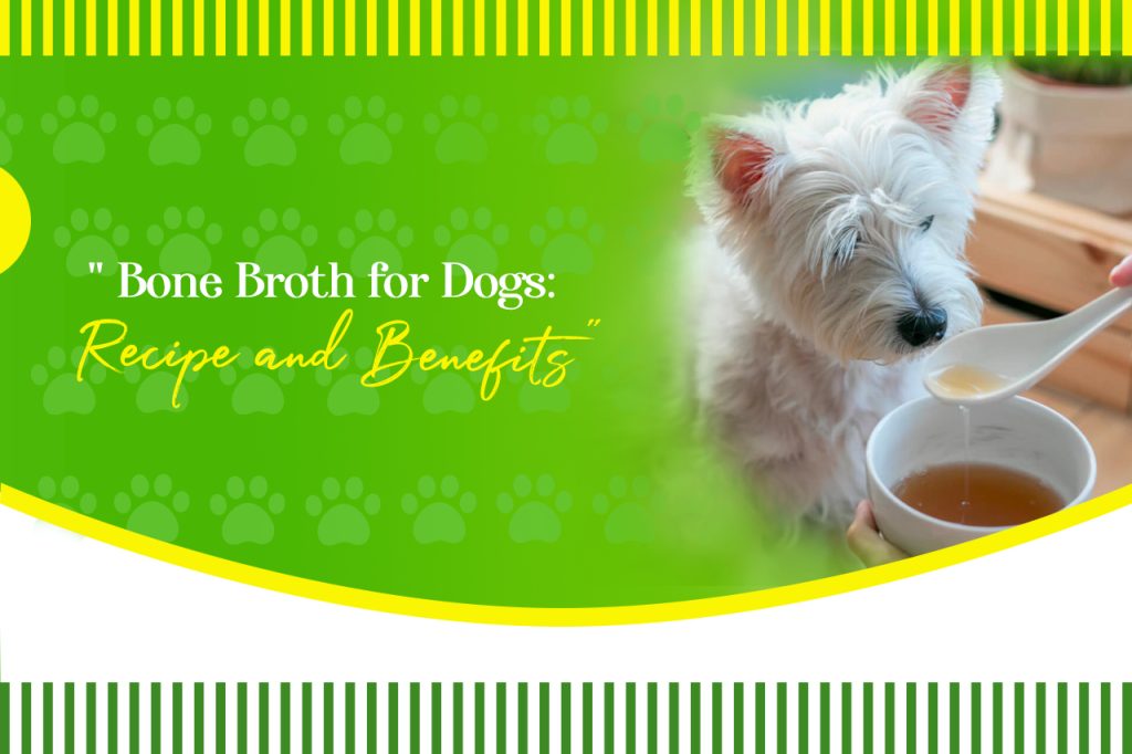 Bone Broth for Dogs: Recipe and Benefits