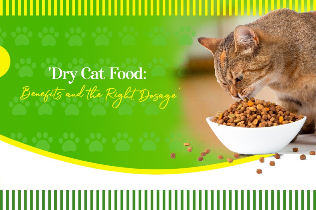 Dry Cat Food: Benefits and the Right Dosage
