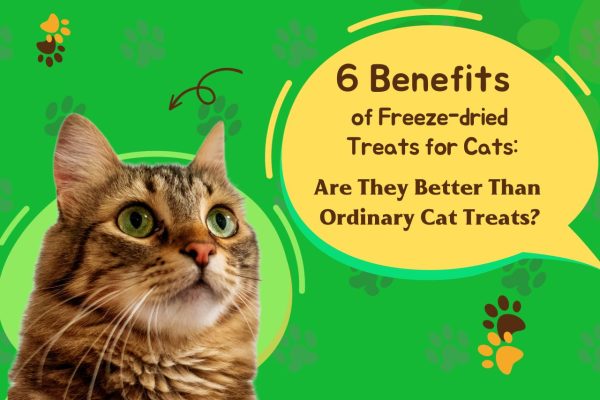 View of 6 Benefits of Freeze-dried Treats for Cats: Are They Better Than ...