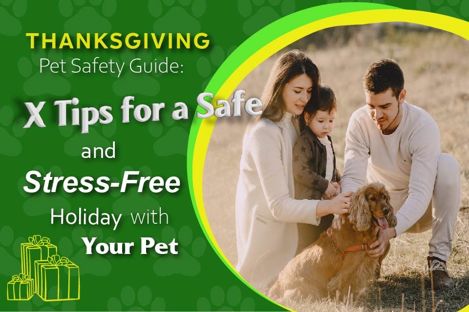 Thanksgiving Pet Safety Guide: X Tips for a Safe and Stress-Free Holiday with Your Pet